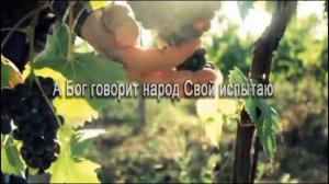 Опять  Анжелика Вишня