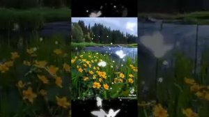Ночь постучится в окно