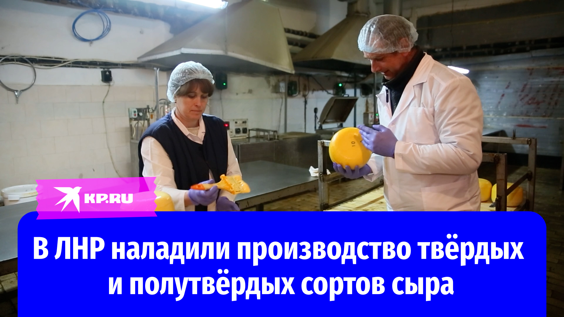 В ЛНР наладили производство твёрдых и полутвёрдых сортов сыра