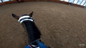 приучаю лошадь к ТРАКТОРУ | КОНКУР | GoPro