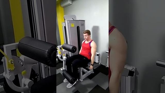 Спортивный тренажер Сгибание и Разгибание ног. DK-SPORT