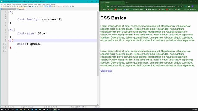 Simple Selectors in CSS | Universal, Type, Class & ID Selectors | CSS Basics Lesson 02 in Odia