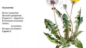 Видео-урок. Тема_ _Знакомство с заучиванием_ Средняя группа - часть 2