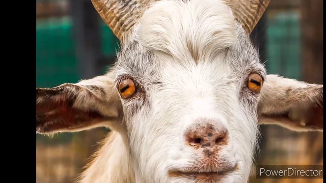 Интересные и любопытные факты о зрении..... смотреть онлайн