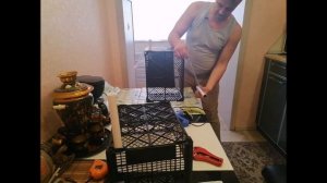 Мини парник своими руками для дома. DIY mini greenhouse.