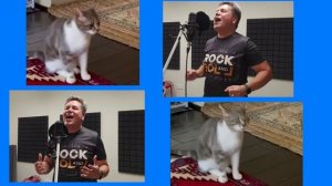 Поём с котом. Поющий кот поет песню с человеком!!! Хит! Прикол! Георгий Серебряков vs Кот Элвис