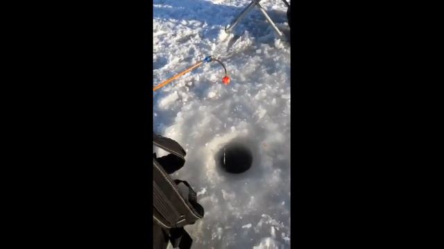 Сахалин. Зимняя рыбалка. Февраль 2022 года. За навагой. Рыбалка на льду. Устье реки Найба. смотреть онлайн