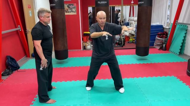 Ицюань Москва / Разбор деталей Туйшоу для инструкторов / Взаимосвязь методов (24.09.22) #29 смотреть онлайн