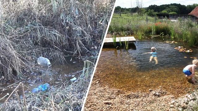 Речка Дачная смотреть онлайн