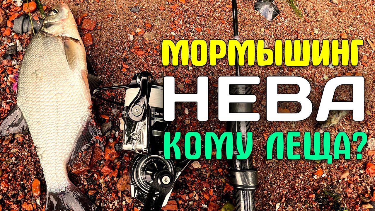 НЕВСКАЯ Раздача | ЛЕЩ | Карася НЕТ #мормышинг #nanojig #рыбалка #fishing