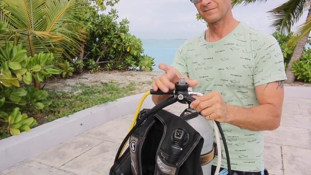 Как правильно собрать акваланг #scubadiving #акваланг #дайвингпервыйраз смотреть онлайн