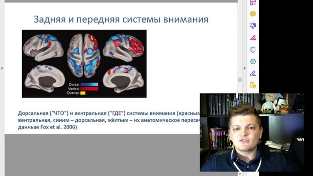 Психофизиология внимания Методы развития внимания. смотреть онлайн