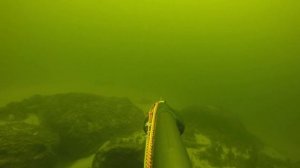 Подводная охота в реке руками, обзор буя для ПО