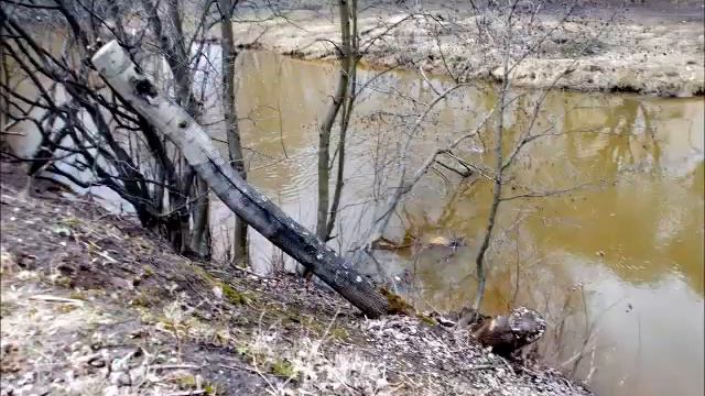 Питер непарадно р Оккервиль смотреть онлайн