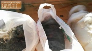 Козий пух для пряжи (виды). Обзор козьего пуха породистых коз. Как выбрать козий пух?