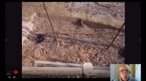 Формировка куста винограда для выращивания на вертикальной плоскости беседки