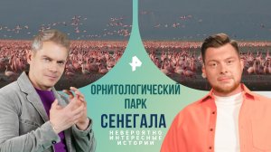 Орнитологический парк Сенегала — Невероятно интересные истории (22.03.2024)