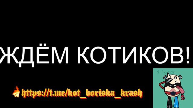 ТУРНИР НА 300 РУБЛЕЙ В СТИМ Cat_International ВСЯ ИНФОРМАЦИЯ В ТГ смотреть онлайн