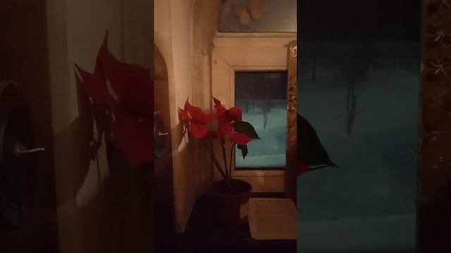 Радуйся , Радосте наша.....)