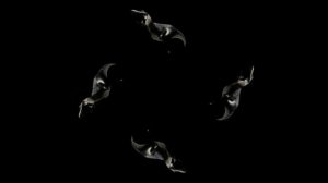 DHP ЮРЫ ДИНОЗАВРЫ ГОЛОГРАММА ПИРАМИДА ГОЛОГРАФИЧЕСКИЕ 4 СТОРОН