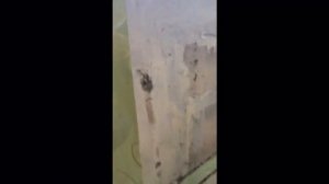 Меняем радиатор в квартире (батареи) Своими руками