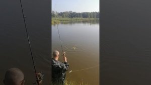 Рыбалка Калининградская область. п. Переславское 89632947637