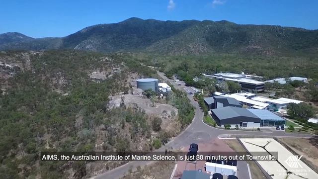 Klara Lindstrom, Bachelor of Advanced Science смотреть онлайн