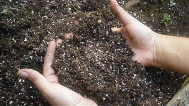 Как использовать удобрения. Основные правила