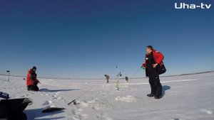 А ты видел как СУДАК КЛЮЕТ под водой?  СУДАК ЩЕКОЧЕТ наши НЕРВЫ!  РЫБАЛКА в Камском Устье