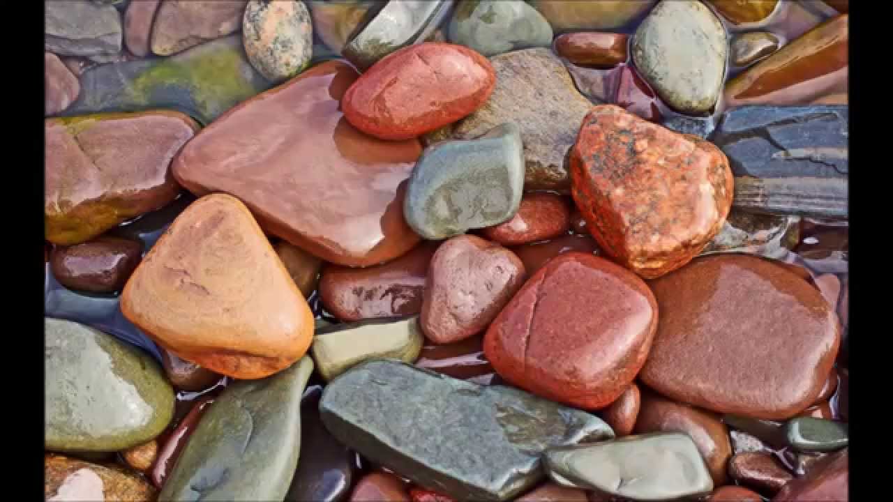 Татвы Воды, Огня, Камня, Земли И Дерева. Чувство Собственной Важности.