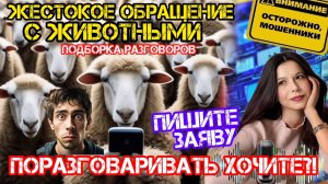 Мошенники звонят, звонят и звонят.... _Нюша _Антимошенники