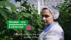 Case study Ekaterina Pochetaeva - agronomist of Eletskiye Ovoshi