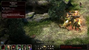 Pillars of Eternity #33 - Nestei