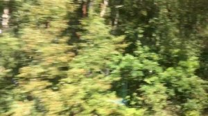 Поездка на рельсовом автобусе РА - 3 Орлан