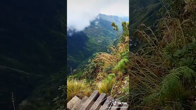 Horton plains