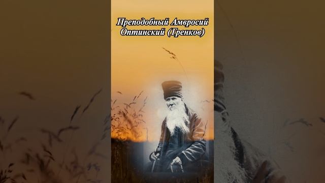 Преподобный Амвросий Оптинский (Гренков)