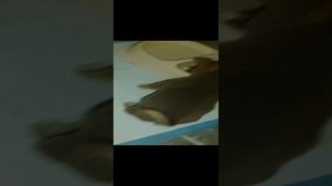 кормлю собаку влог!!!