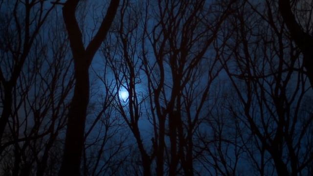 Две мистические ИСТОРИИ НА НОЧЬ аудиорассказы Zvook Олег Ли смотреть онлайн