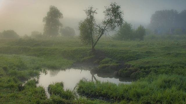 Последний день июля (31 июля)