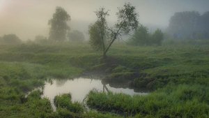 Последний день июля (31 июля)