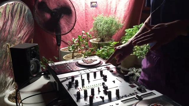 ДЖАНГЛ_ Вайб_Танцы_