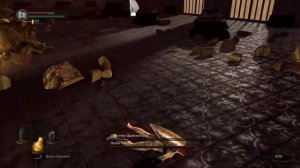 КАК ПРОЙТИ DARK SOULS ТОЛЬКО С ЩИТОМ