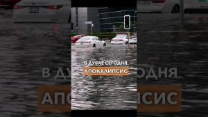 Дубай затопило прямо сейчас! #дубай #новости #shorts