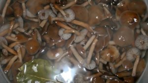 Маринованные опята с корицей