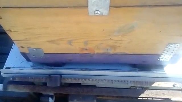 Сады доцветают. Удалось ли набрать нектар с садов ! смотреть онлайн