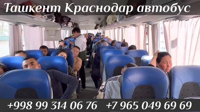 Ташкент Краснодар автобус Краснодар Ташкент автобус Ташкент Красноярск автобус Ташкент Москва