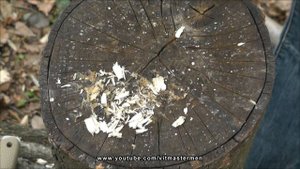 Нож Condor Terrasaur против Mora Garberg. Ножи для леса.