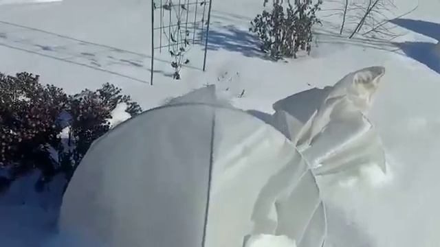 10 марта 2021 г. С проверкой на дачу! смотреть онлайн