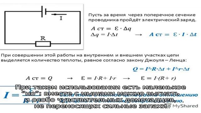 Страхи маленьких грызунов