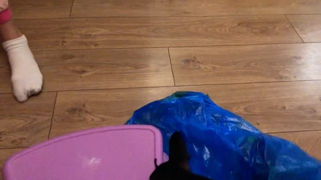 Помогите Русскому той терьеру! смотреть онлайн